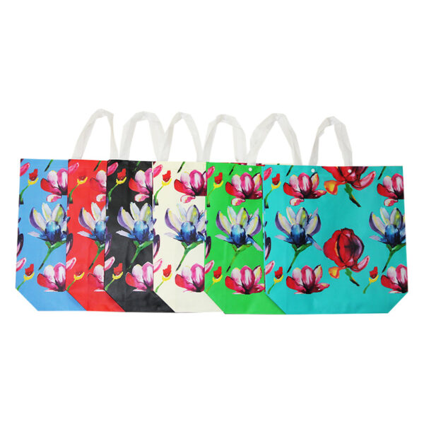 19"x16.50"x5" NON WOVEN BAGS - 12/48
